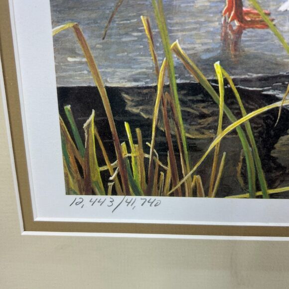 ROBERT BATEMAN 1985 Mallard Duck Pair-Signed/Framed Limited Edition Print+Stamps - Picture 5 of 16